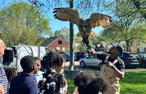 Students looking at an Owl
